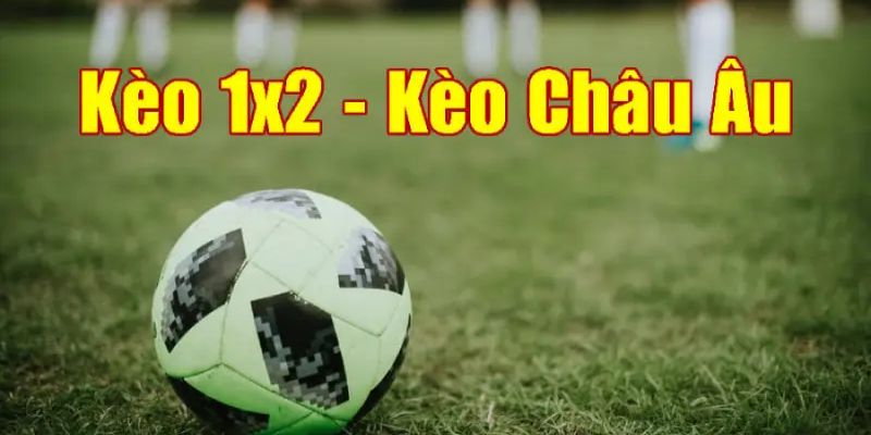 Giới thiệu một số thông tin cơ bản về kèo cược châu Âu