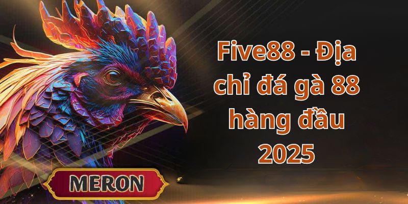 Five88 - Địa chỉ đá gà 88 hàng đầu 2025