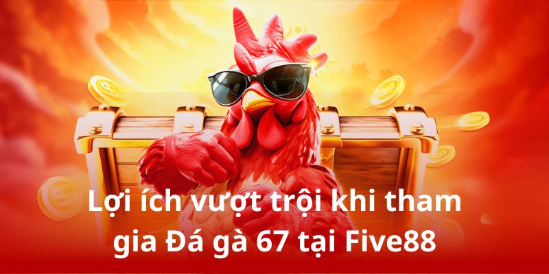 Nhà cái Five88 đảm bảo mang đến trải nghiệm chọi gà 67 đỉnh cao